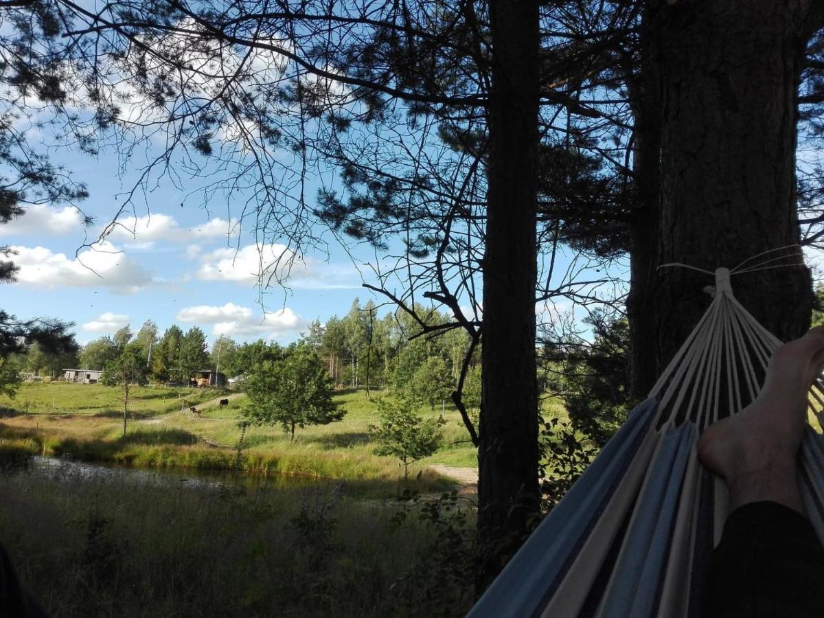 Koziula - Domki I Lesne Spa Na Kaszubach Przywidz  Exterior photo