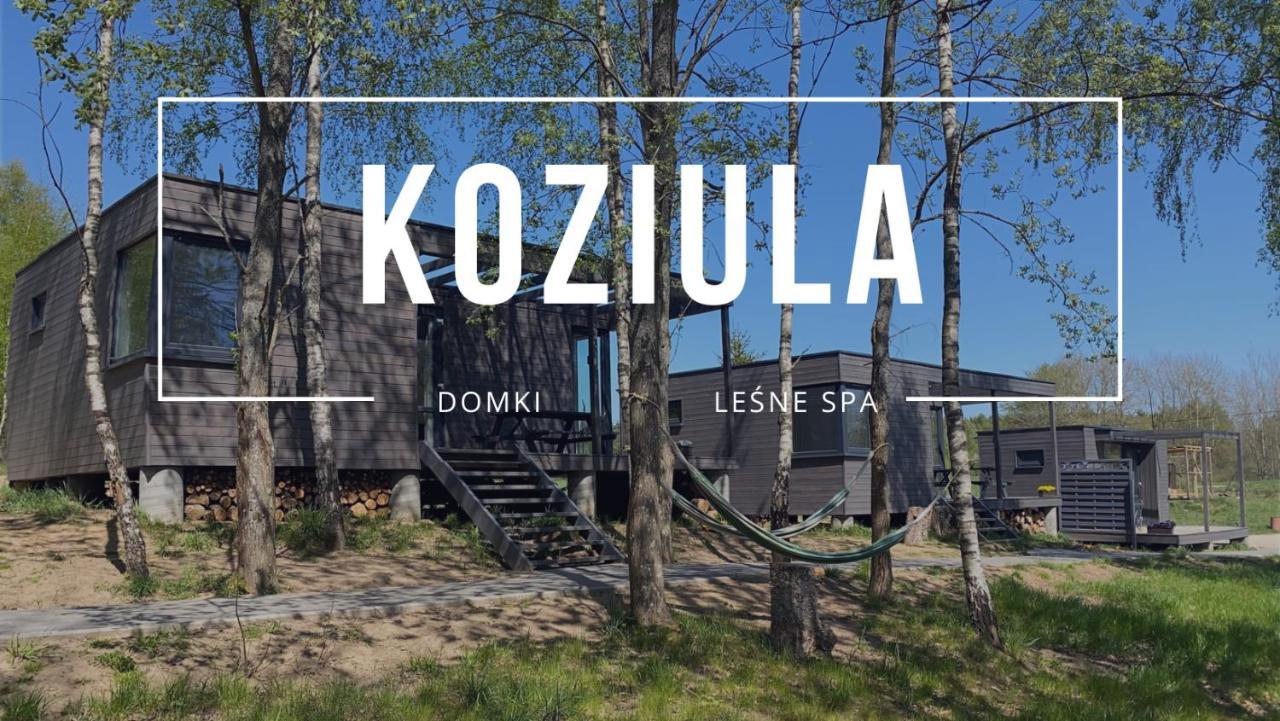 Koziula - Domki Na Kaszubach Villa Przywidz  Exterior photo